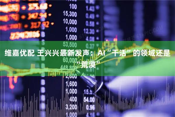 维嘉优配 王兴兴最新发声：AI“干活”的领域还是“荒漠”
