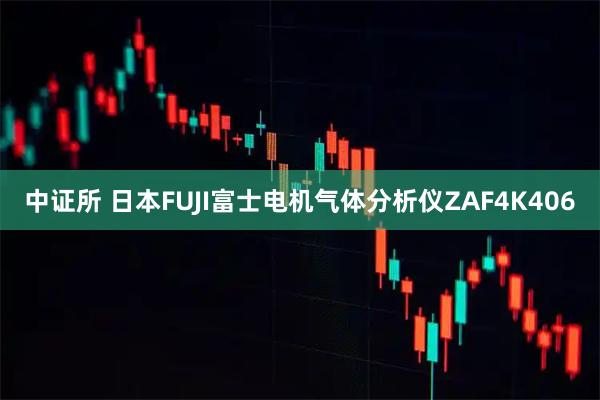 中证所 日本FUJI富士电机气体分析仪ZAF4K406