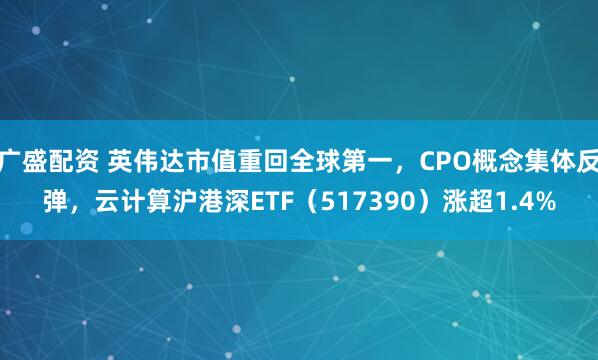 广盛配资 英伟达市值重回全球第一，CPO概念集体反弹，云计算沪港深ETF（517390）涨超1.4%