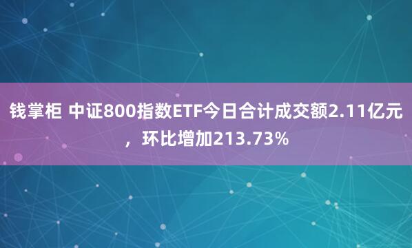 钱掌柜 中证800指数ETF今日合计成交额2.11亿元，环比增加213.73%