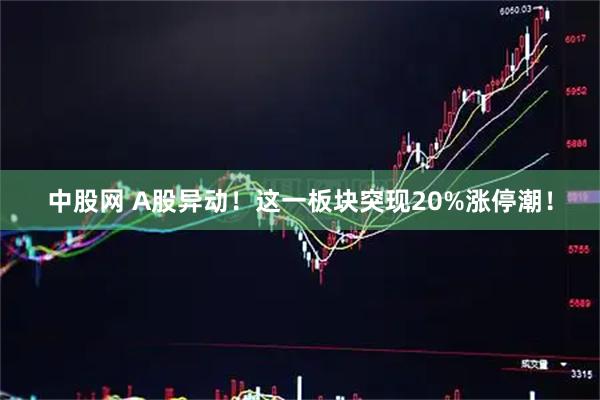 中股网 A股异动！这一板块突现20%涨停潮！