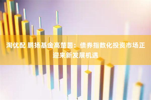 淘优配 鹏扬基金高楚茵：债券指数化投资市场正迎来新发展机遇